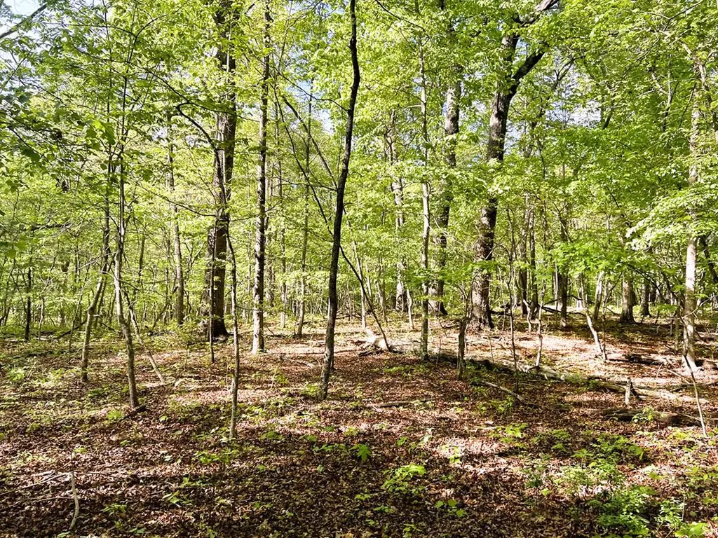658AC Peavine Firetower Road Crossville TN 38571