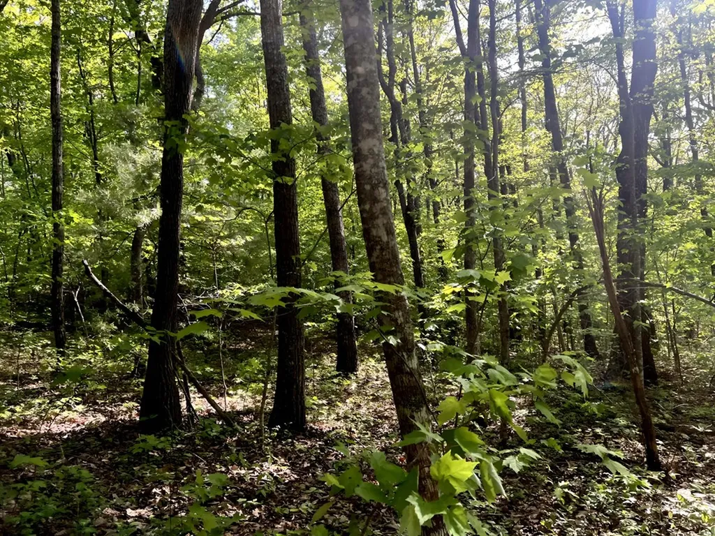 658AC Peavine Firetower Road Crossville TN 38571