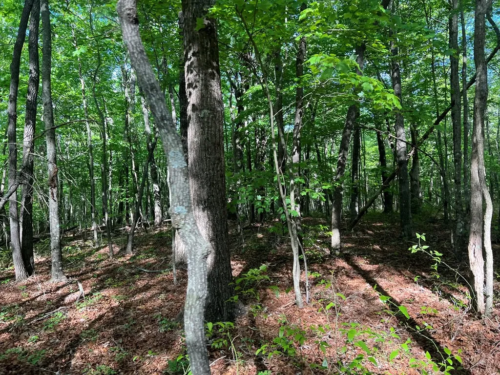 658AC Peavine Firetower Road Crossville TN 38571