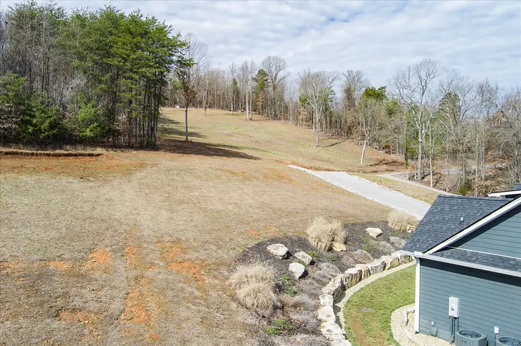 380 Mandarin Drive Spring City TN 37381