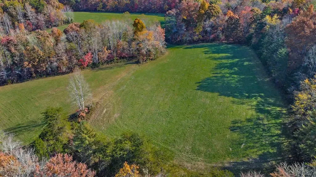 3567 Mount Helen Road Allardt TN 38504