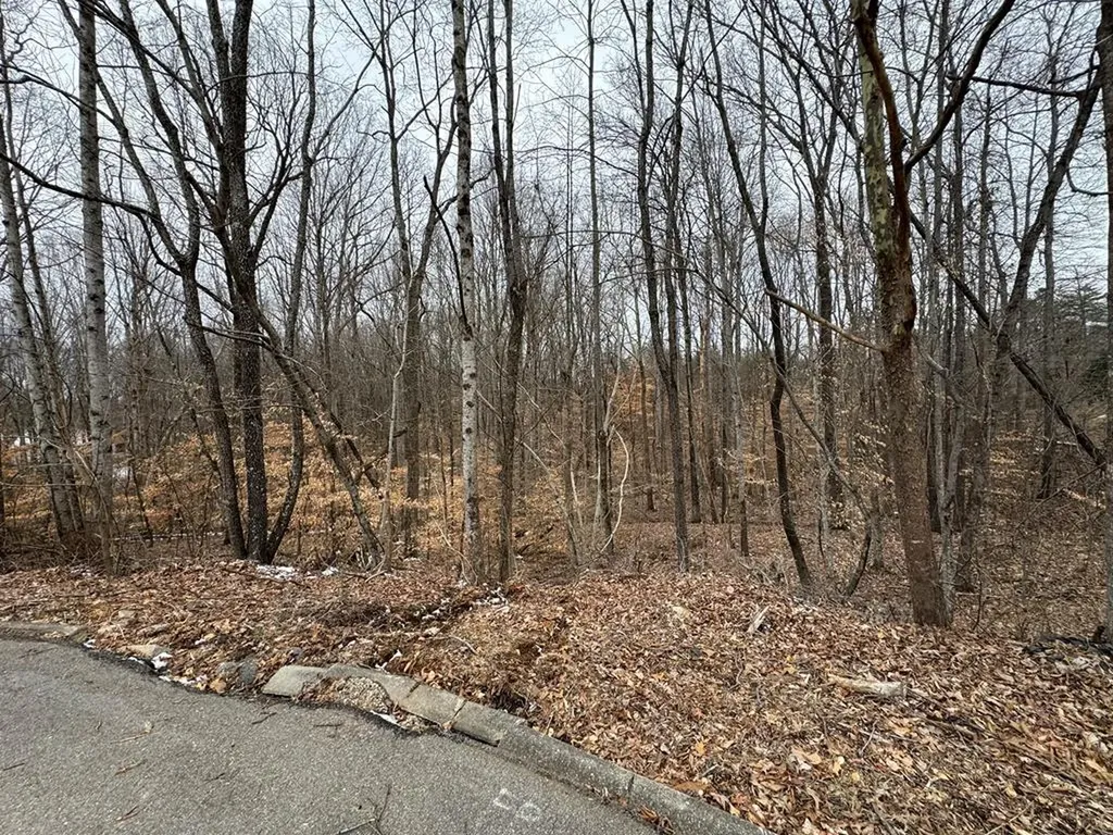 Lot 14 Stonewall Drive Cookeville TN 38506