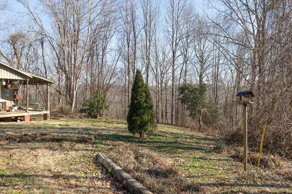 224 Golden Lane Celina TN 38551