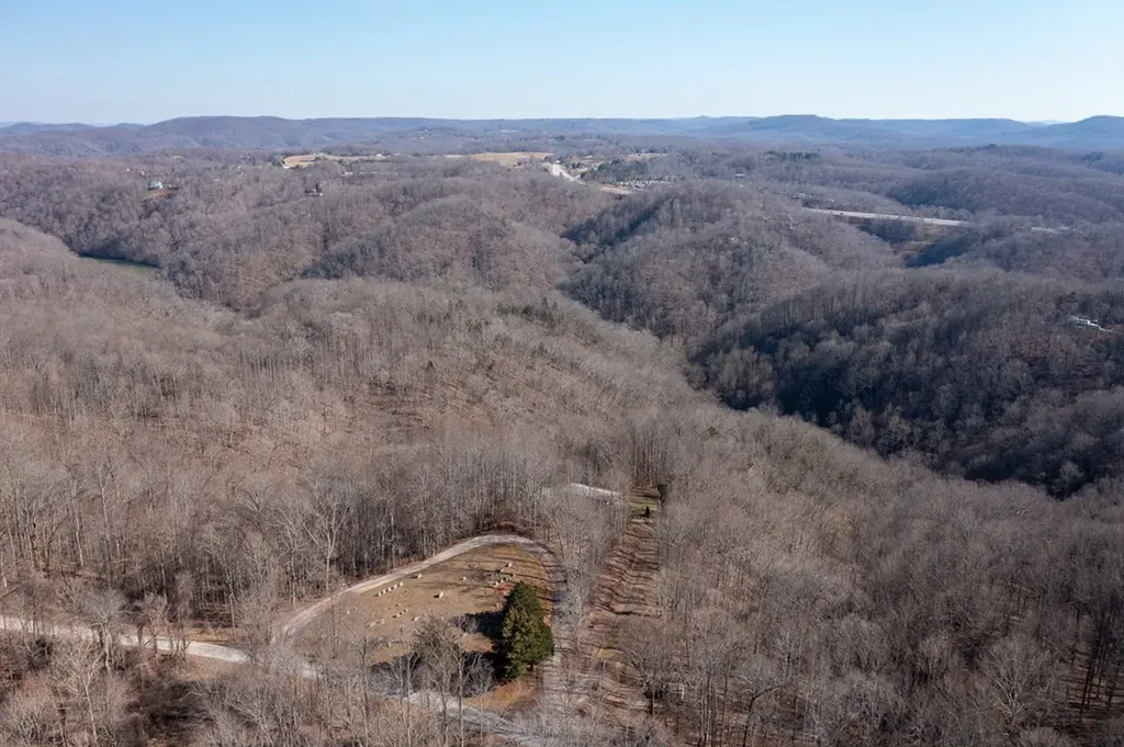 224 Golden Lane Celina TN 38551