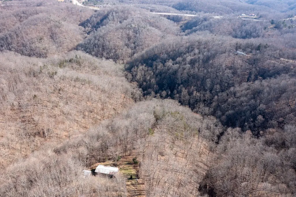 224 Golden Lane Celina TN 38551