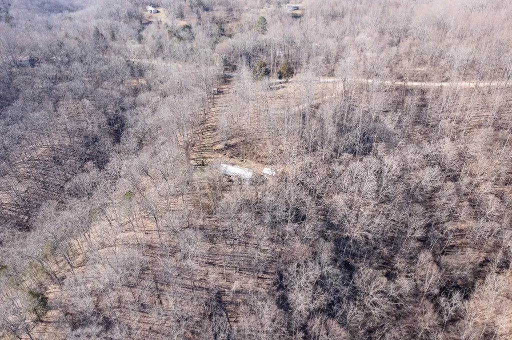 224 Golden Lane Celina TN 38551