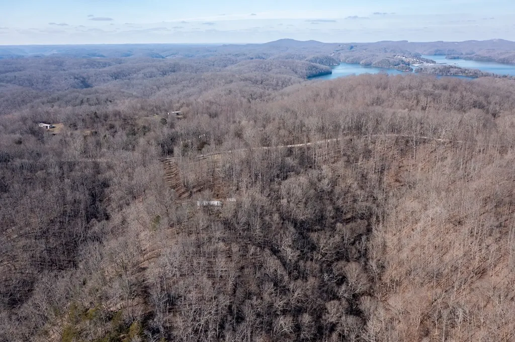 224 Golden Lane Celina TN 38551