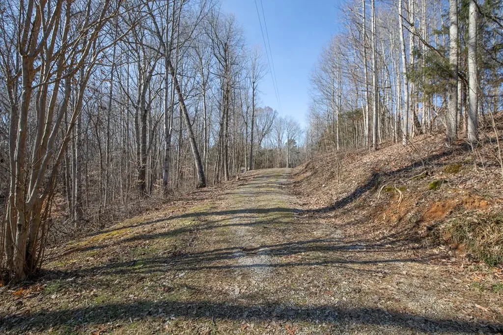 224 Golden Lane Celina TN 38551