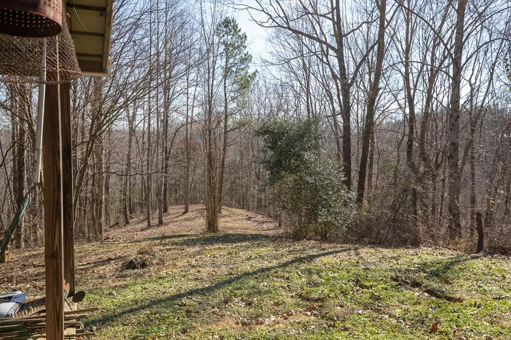 224 Golden Lane Celina TN 38551