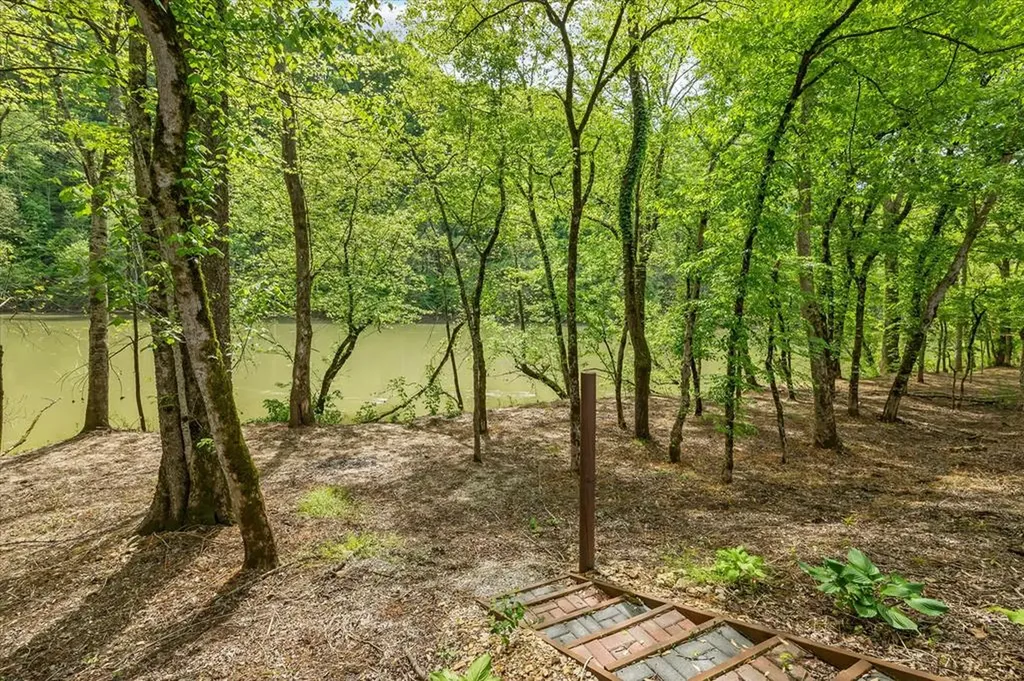 253 Hiawassee Lane Celina TN 38551