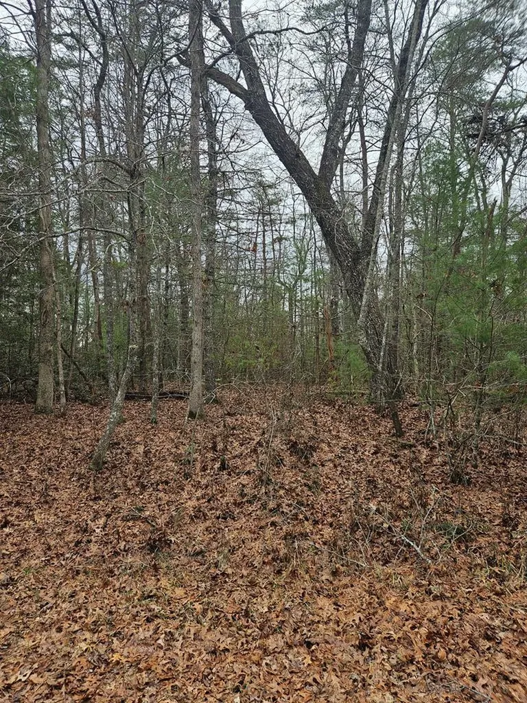 5053 Broken Bow Drive Crossville TN 38572