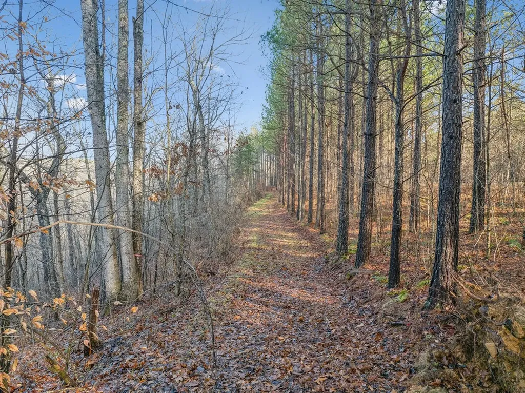 1965 West Robbins Road Robbins TN 37852