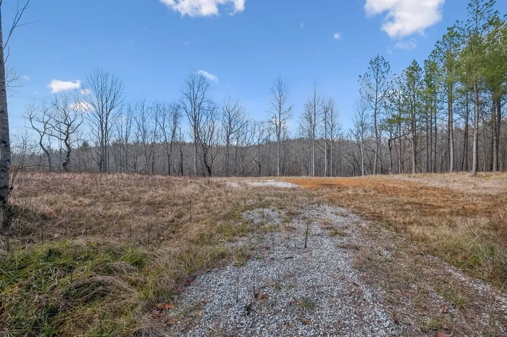 1965 West Robbins Road Robbins TN 37852