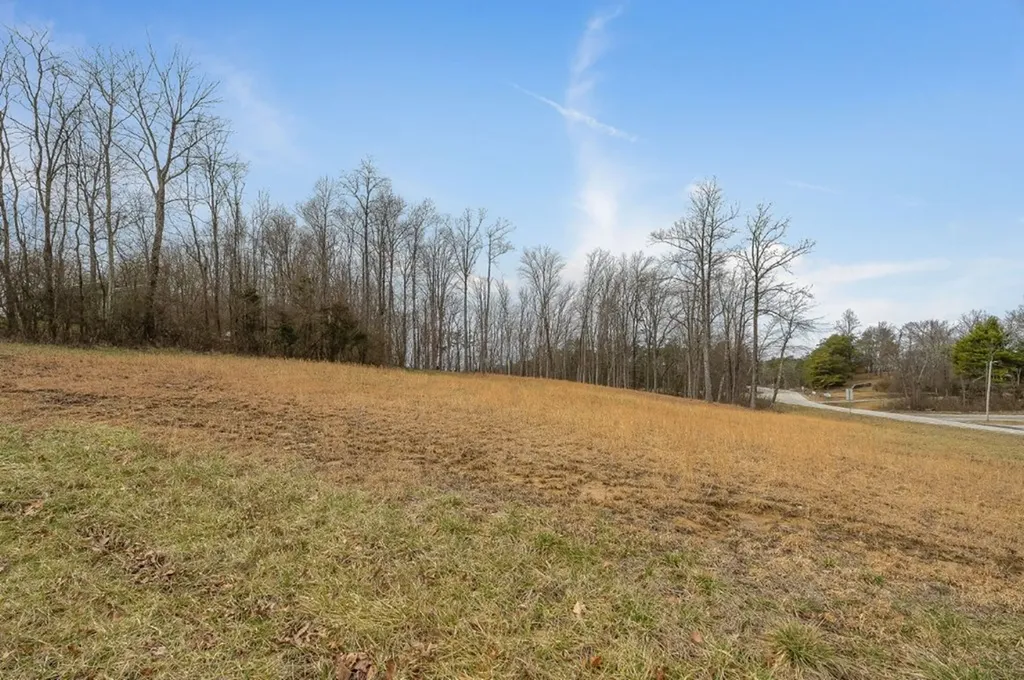 1101 Bee Rock Monterey TN 38574