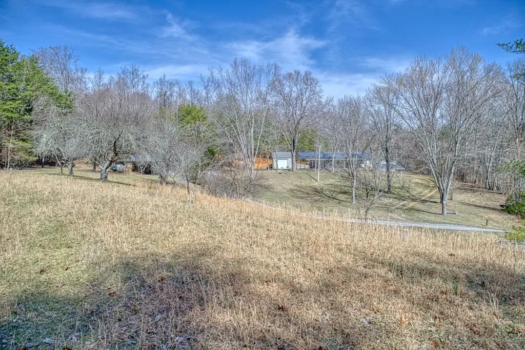 118 Effie Allen Lane Hilham TN 38568