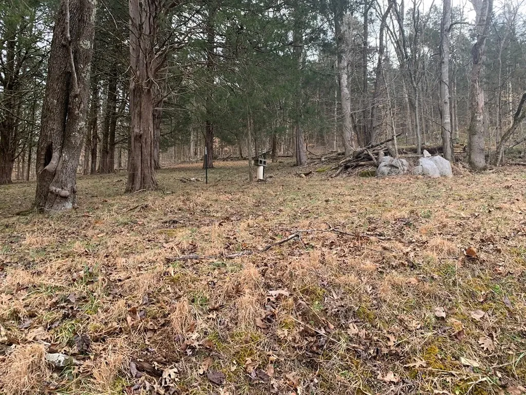 313 Ben Myers Lane Gainesboro TN 38562