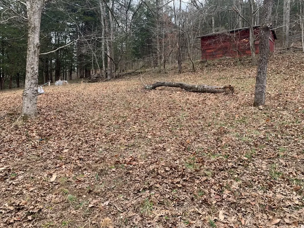 313 Ben Myers Lane Gainesboro TN 38562