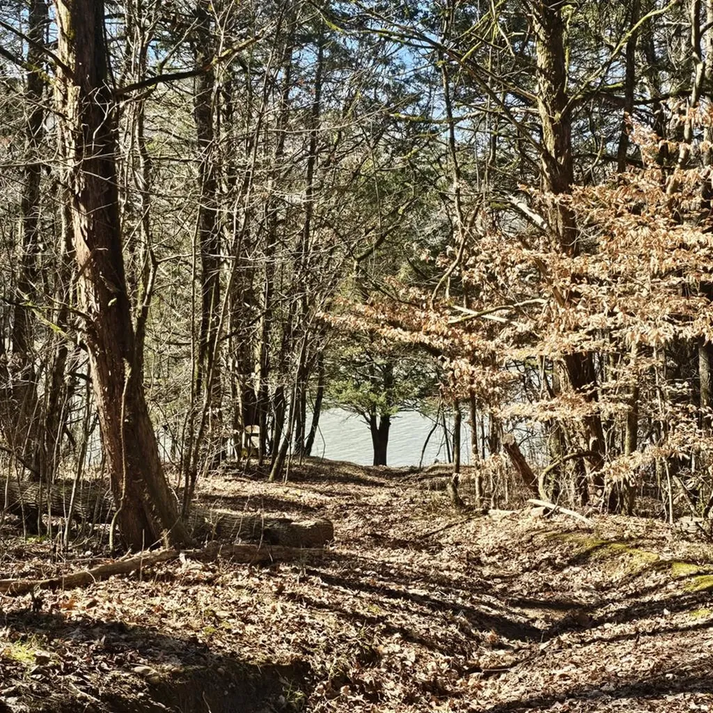 313 Ben Myers Lane Gainesboro TN 38562