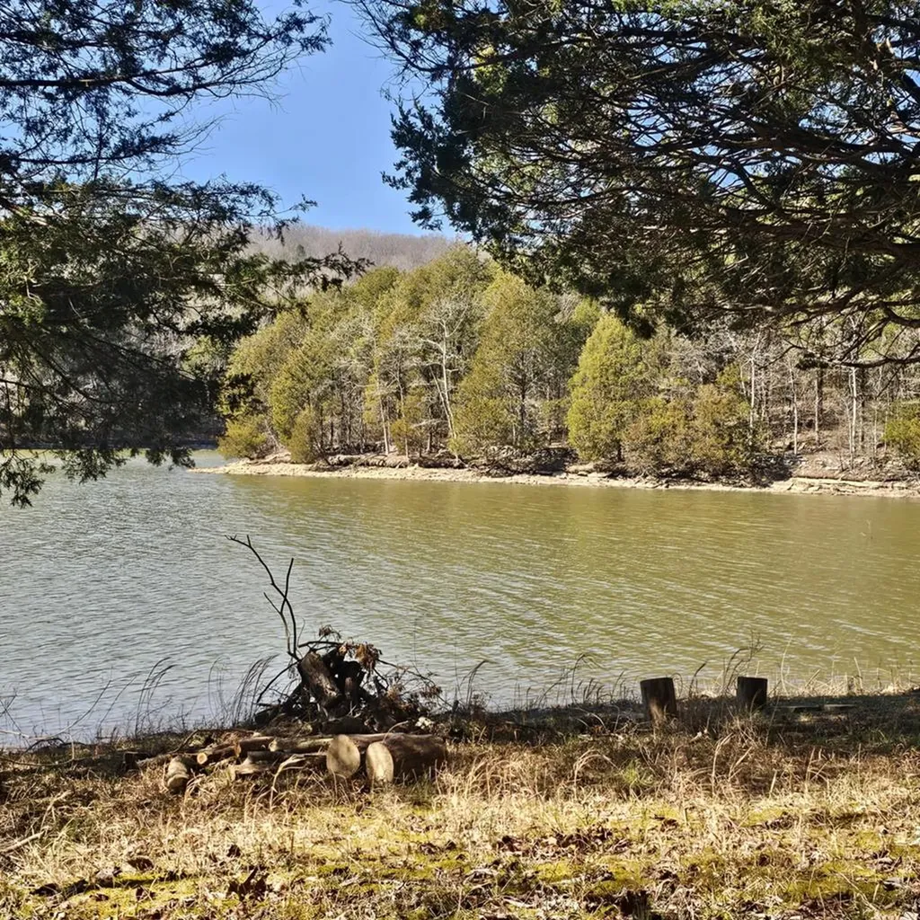 313 Ben Myers Lane Gainesboro TN 38562