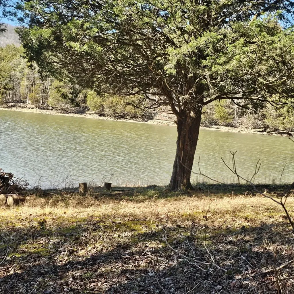 313 Ben Myers Lane Gainesboro TN 38562