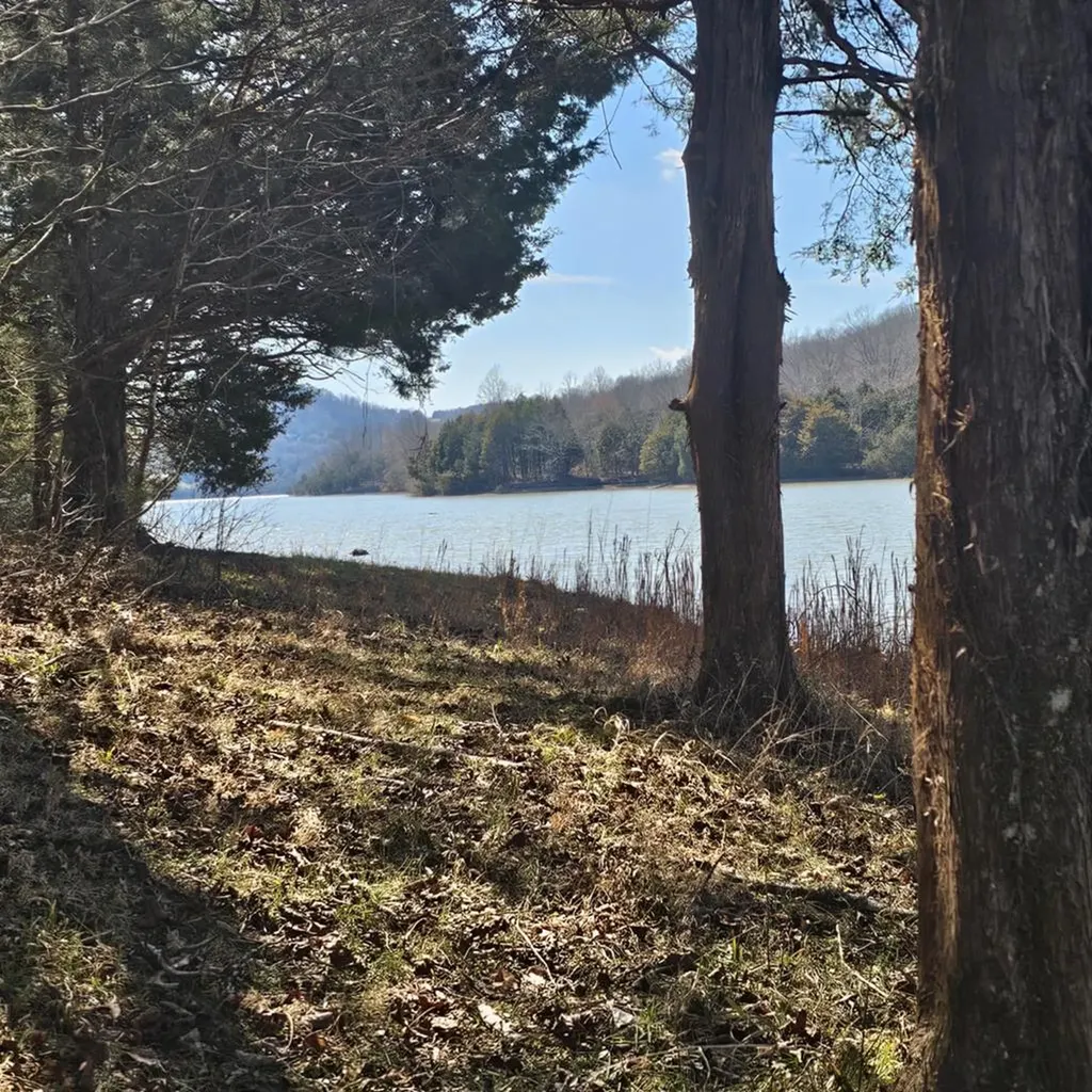 313 Ben Myers Lane Gainesboro TN 38562