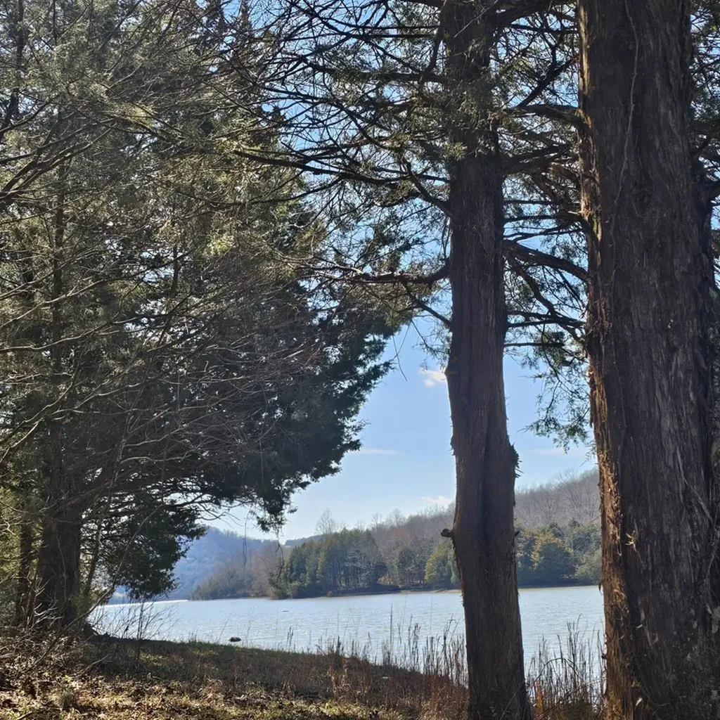 313 Ben Myers Lane Gainesboro TN 38562