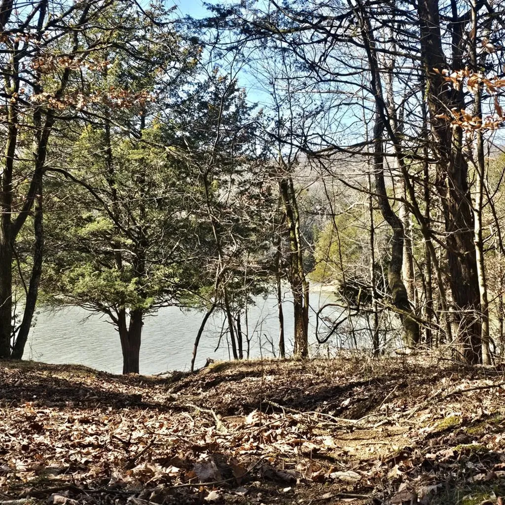 313 Ben Myers Lane Gainesboro TN 38562