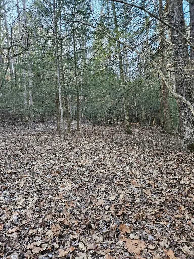 845 Mcminnville Highway Sparta TN 38583