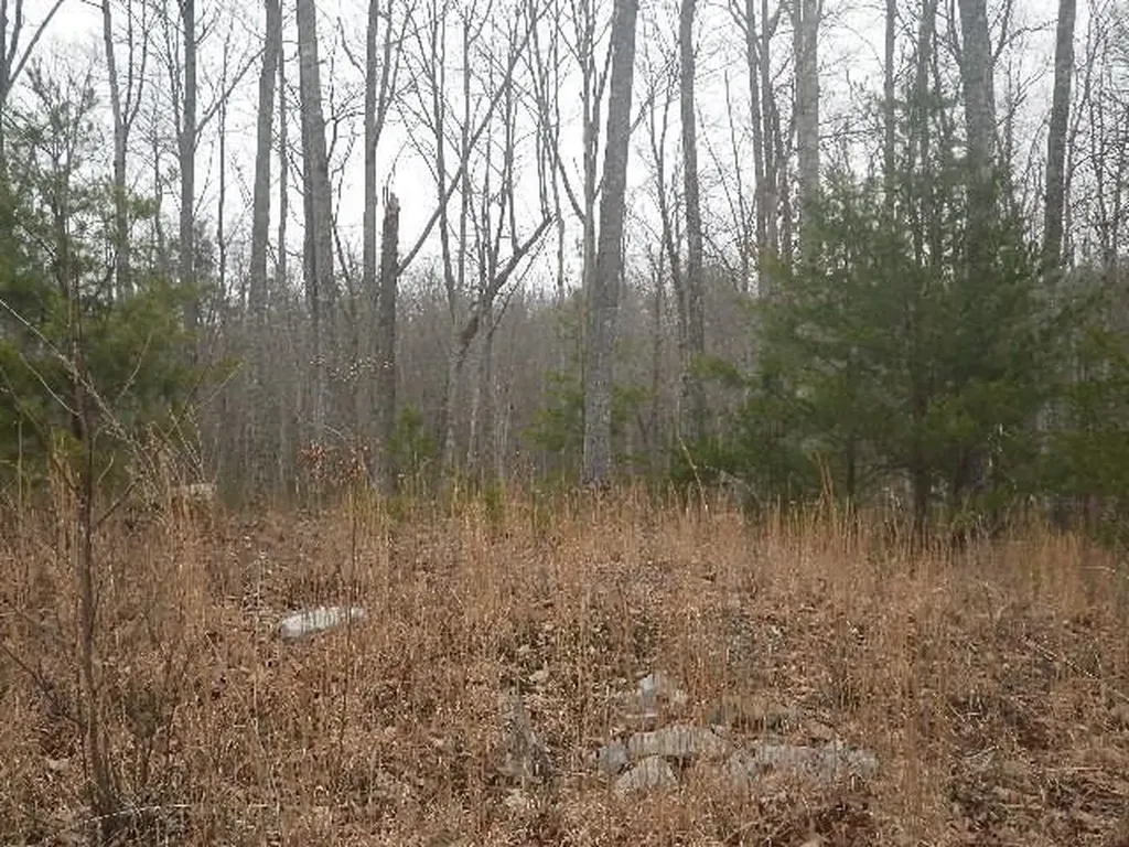 Lot 687 Jaguar Trail Spencer TN 38585