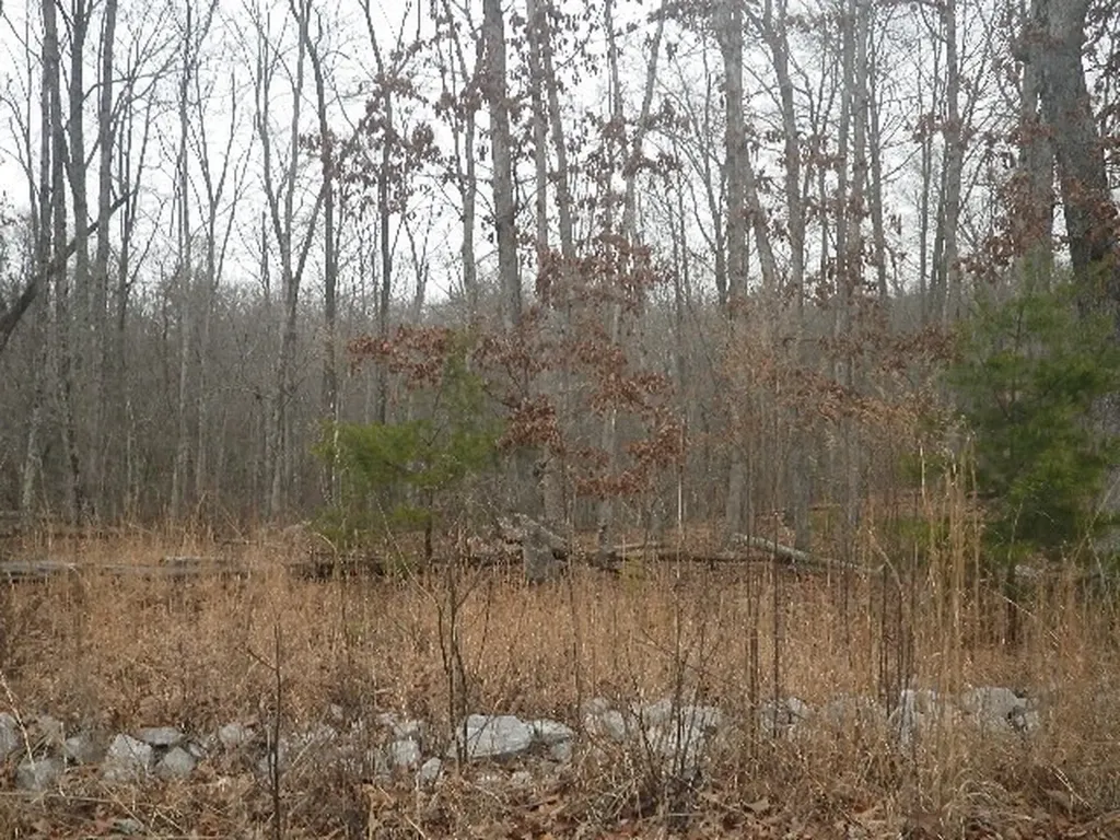 Lot 687 Jaguar Trail Spencer TN 38585