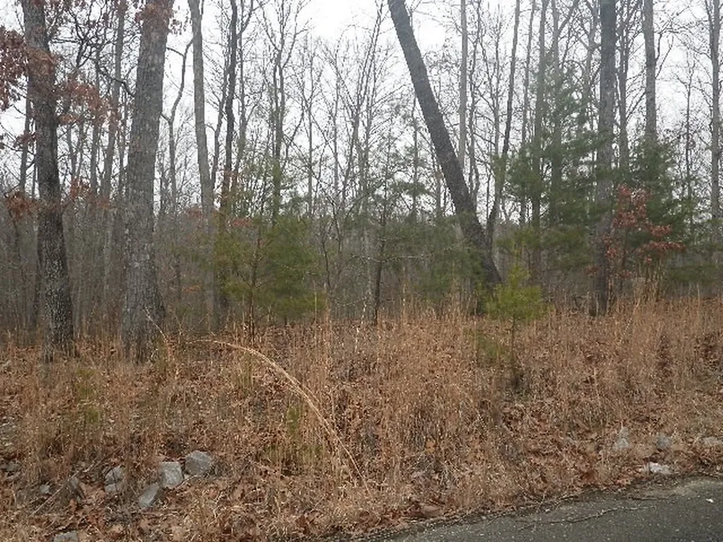 Lot 687 Jaguar Trail Spencer TN 38585