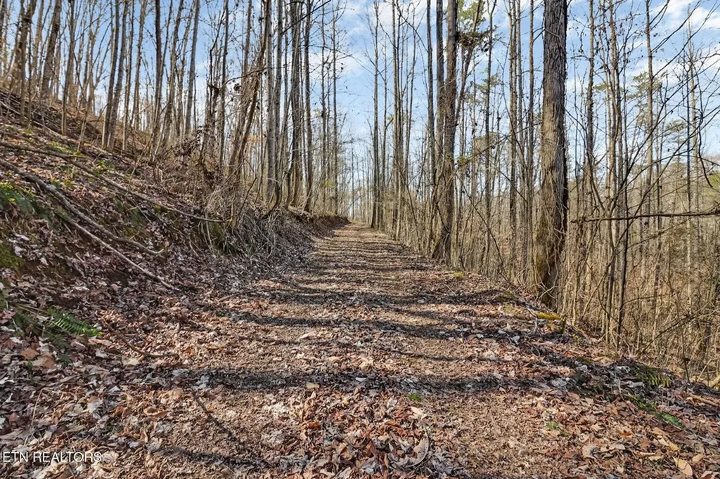 171 Deer Cliff Alpine TN 38543