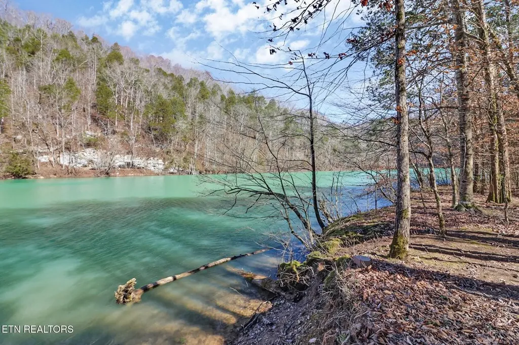 171 Deer Cliff Alpine TN 38543