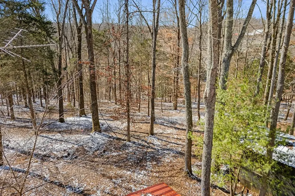 561 Frank Massa Road Sparta TN 38583