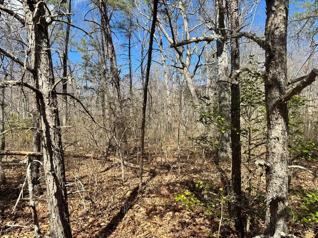 0 Divide Trail Monterey TN 38574
