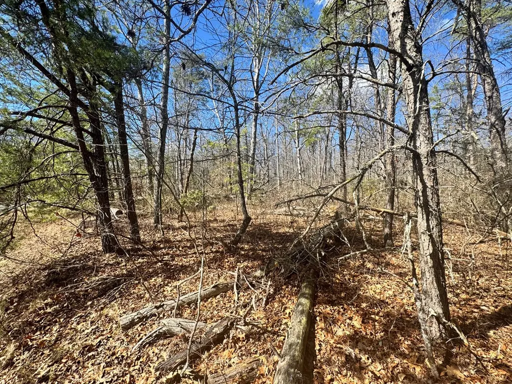 0 Divide Trail Monterey TN 38574