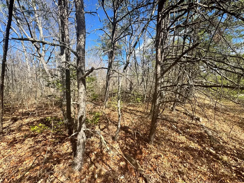 0 Divide Trail Monterey TN 38574