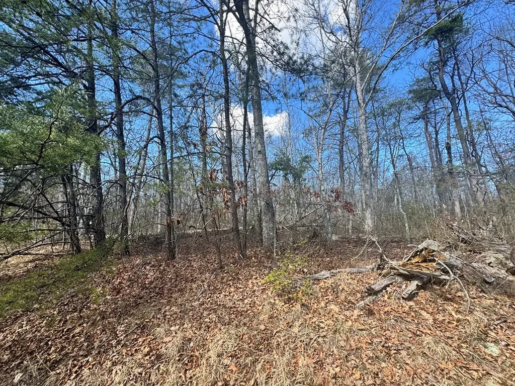 0 Divide Trail Monterey TN 38574