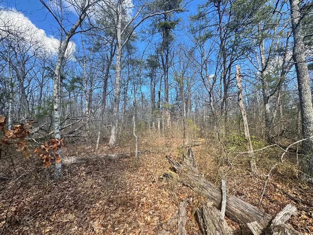 0 Divide Trail Monterey TN 38574