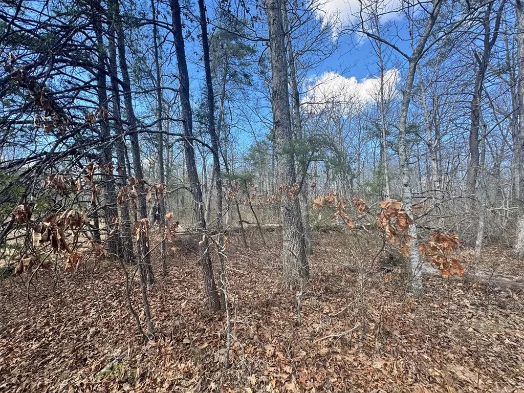 0 Divide Trail Monterey TN 38574