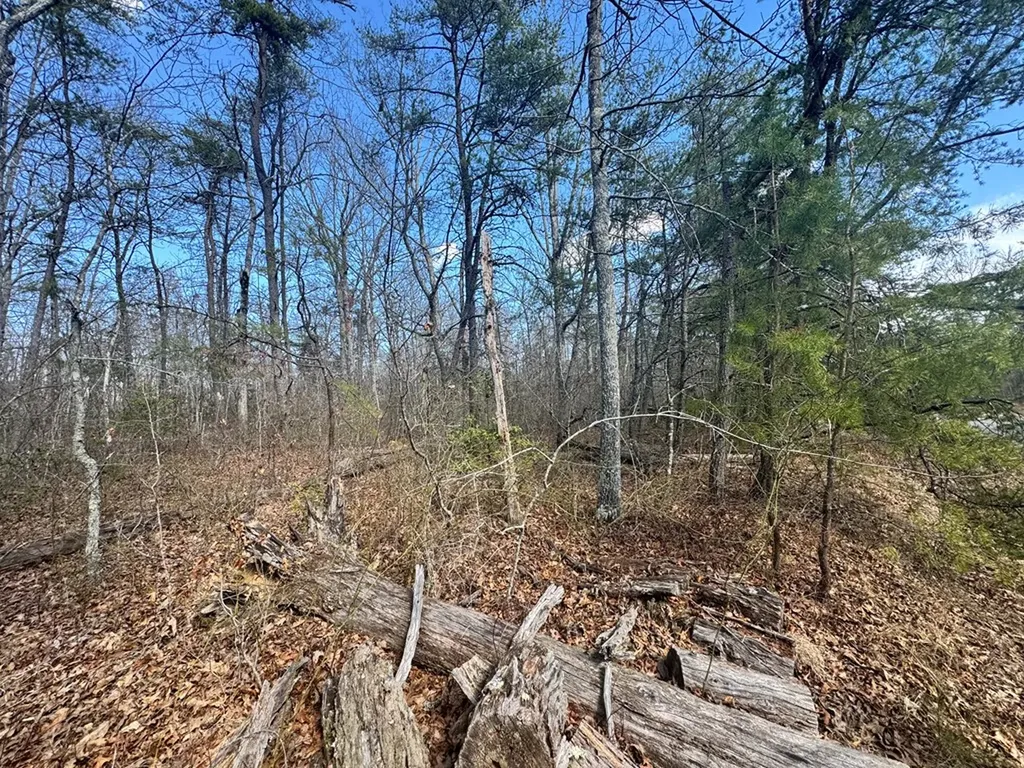 0 Divide Trail Monterey TN 38574