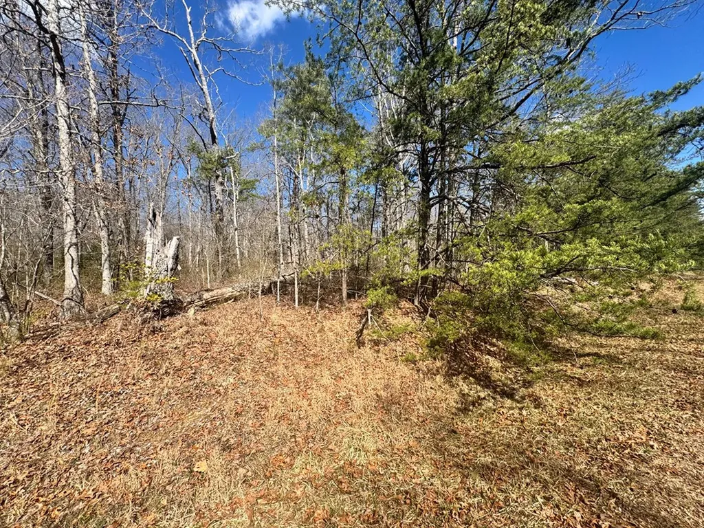0 Divide Trail Monterey TN 38574