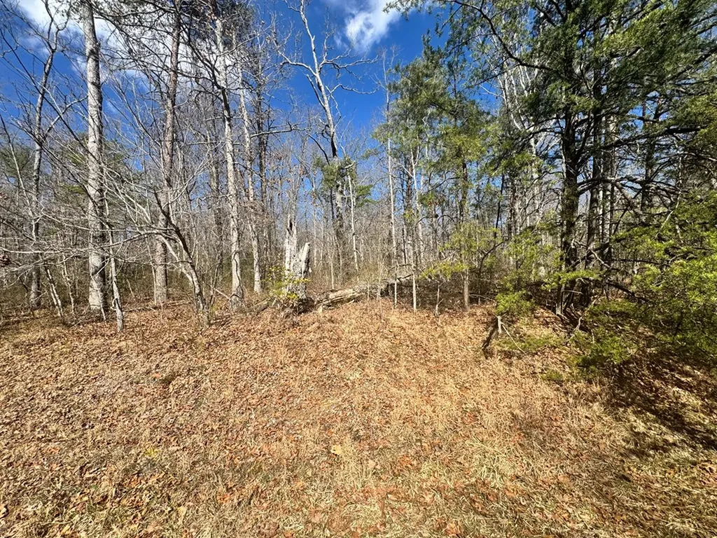0 Divide Trail Monterey TN 38574