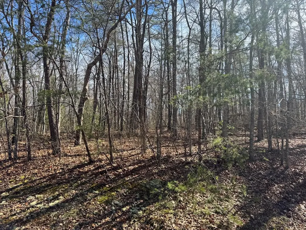 0 N Laurel Loop Monterey TN 38574