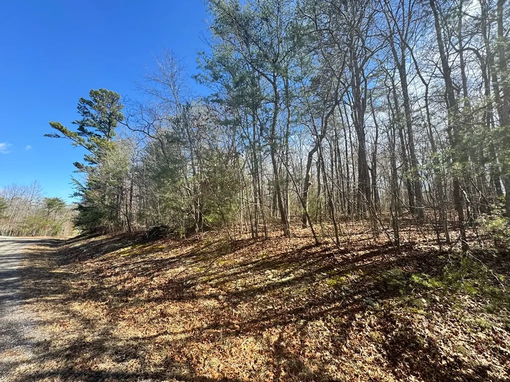 0 N Laurel Loop Monterey TN 38574