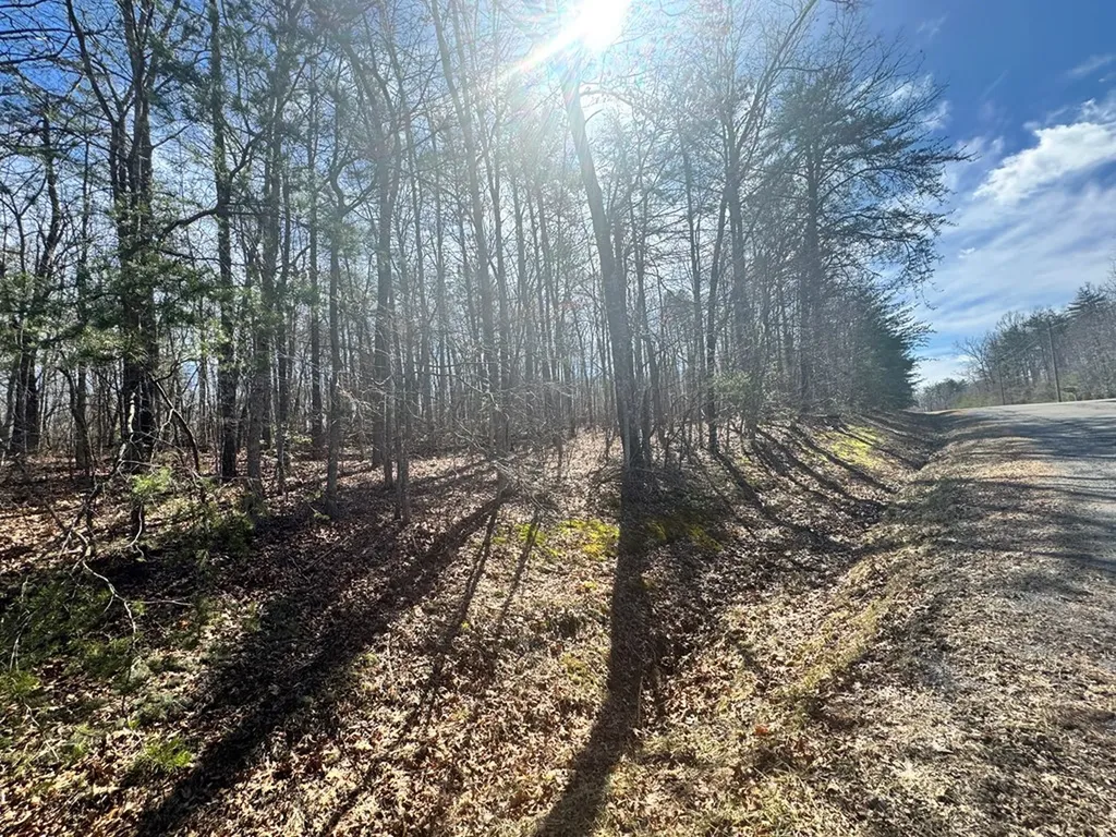 0 N Laurel Loop Monterey TN 38574