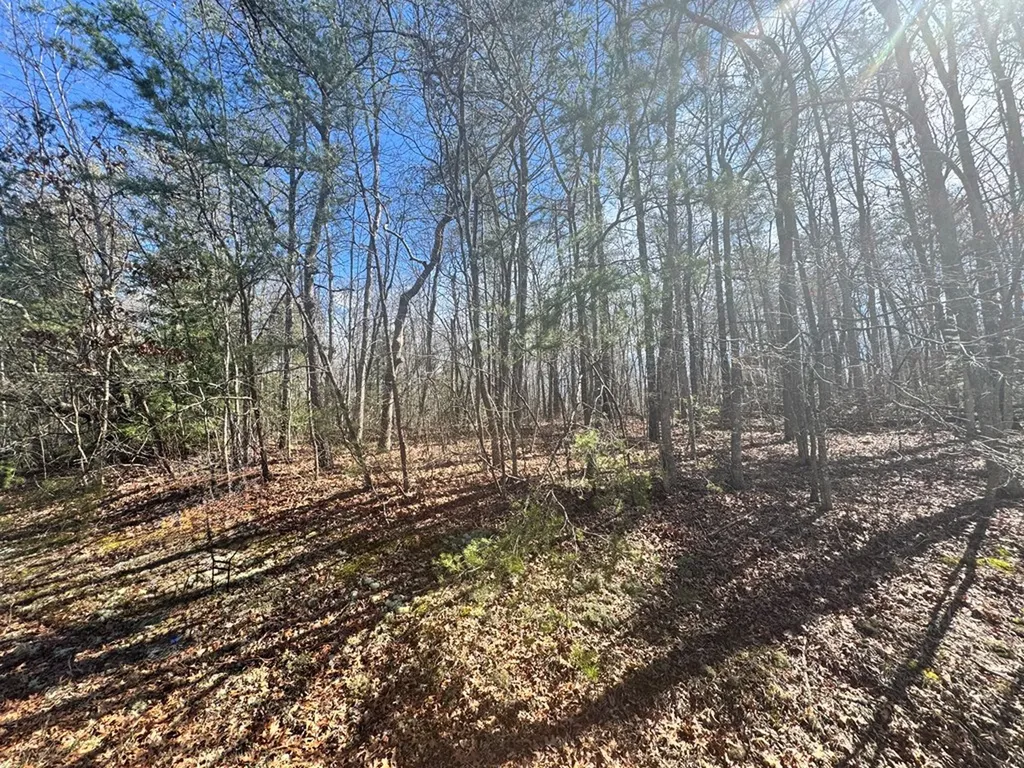 0 N Laurel Loop Monterey TN 38574