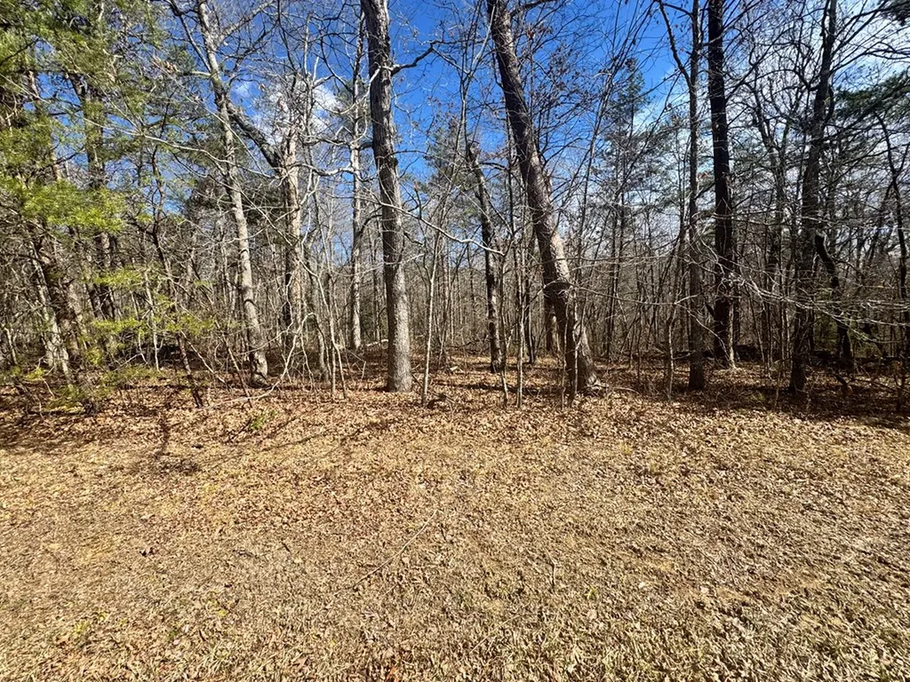 0 Cumberland Lakes Drive Monterey TN 38574