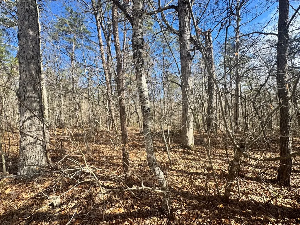 0 Cumberland Lakes Drive Monterey TN 38574