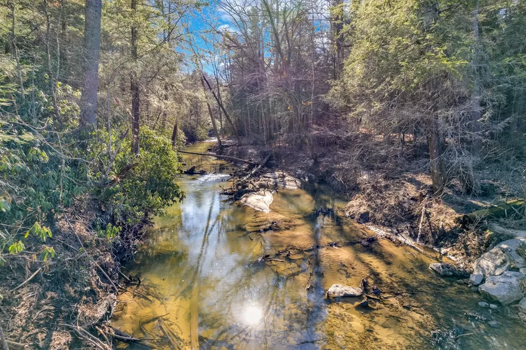 4420 Standing Rock Road Deer Lodge TN 37726